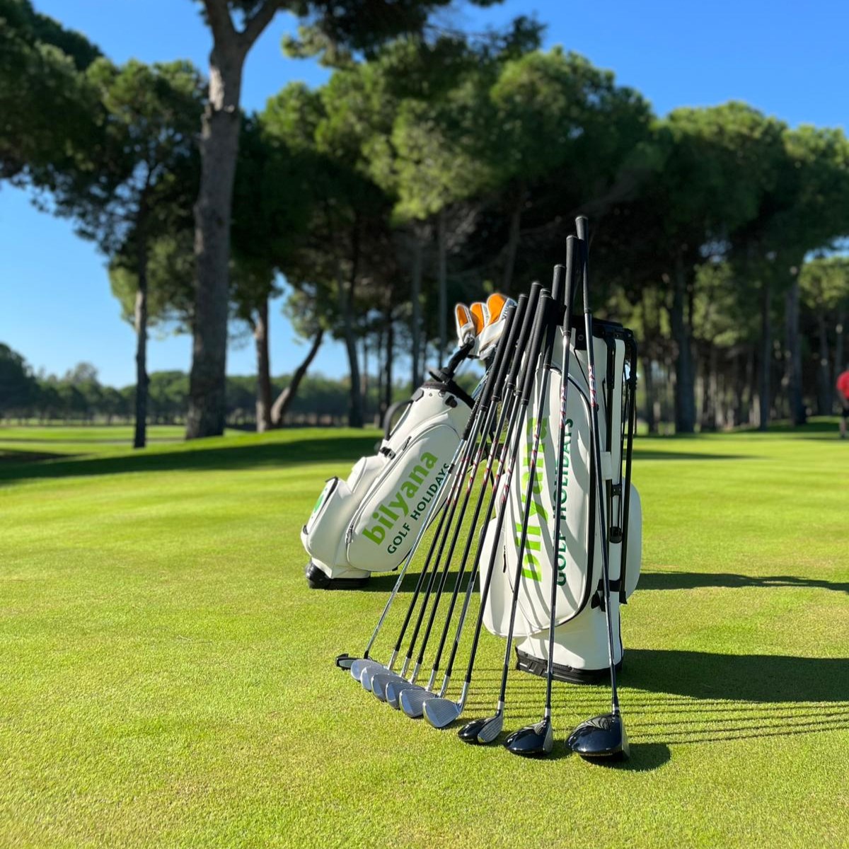 https://bilyanagolf.de/files/imaj/clubhire3.jpg